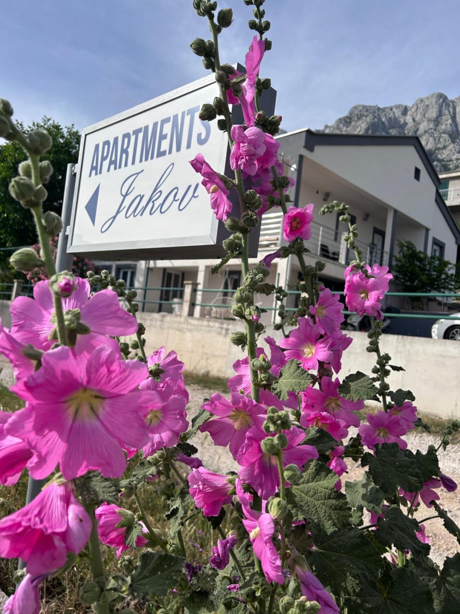 Jakov Apartment Makarska