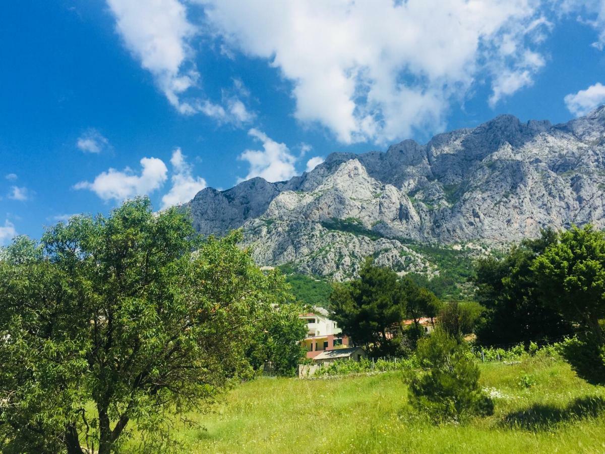 Apartman Jakov