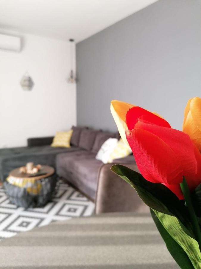 Apartman Jakov